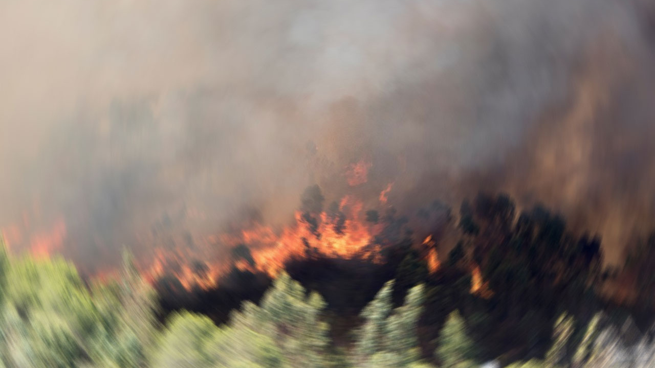 İzmir'de alev alan otomobil orman yangınına yol açtı