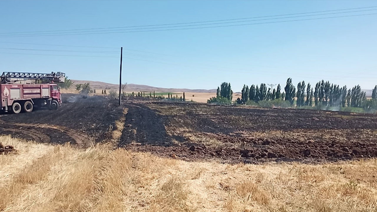 Sivas'ta tarla yangınında 25 dönüm ekili alan zarar gördü!