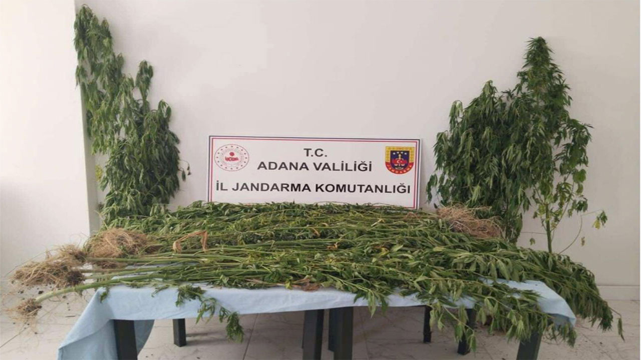 Adana'da uyuşturucu operasyonu! 14 kişi uyuşturucu ile yakalandı