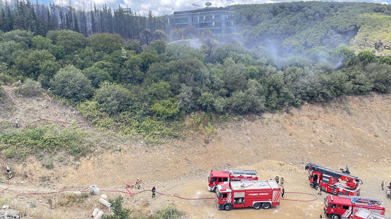 İstanbul'da orman yangını çıktı! Ekipler bölgede