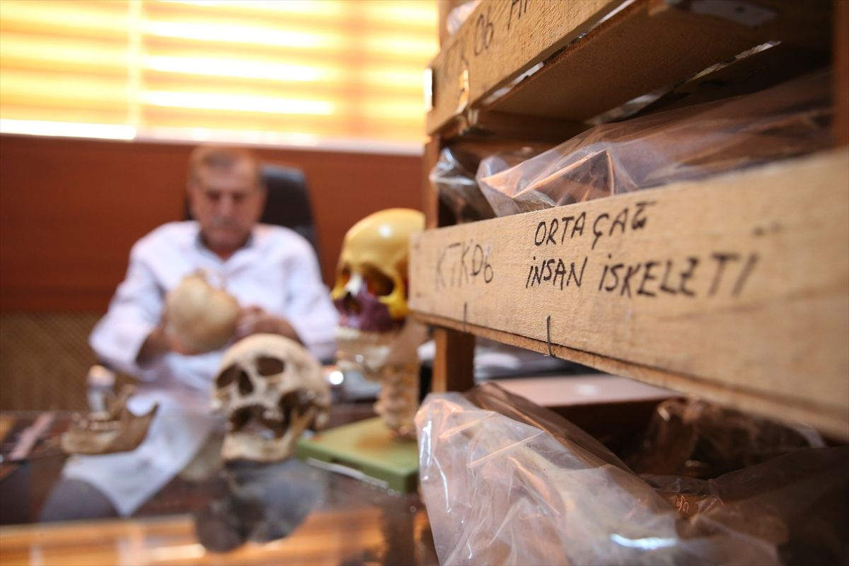 Diyarbakır Bismil'de 16 yıl önce kazılarda bulunan 121 insana ait kemikler incelendi işte sonuçlar