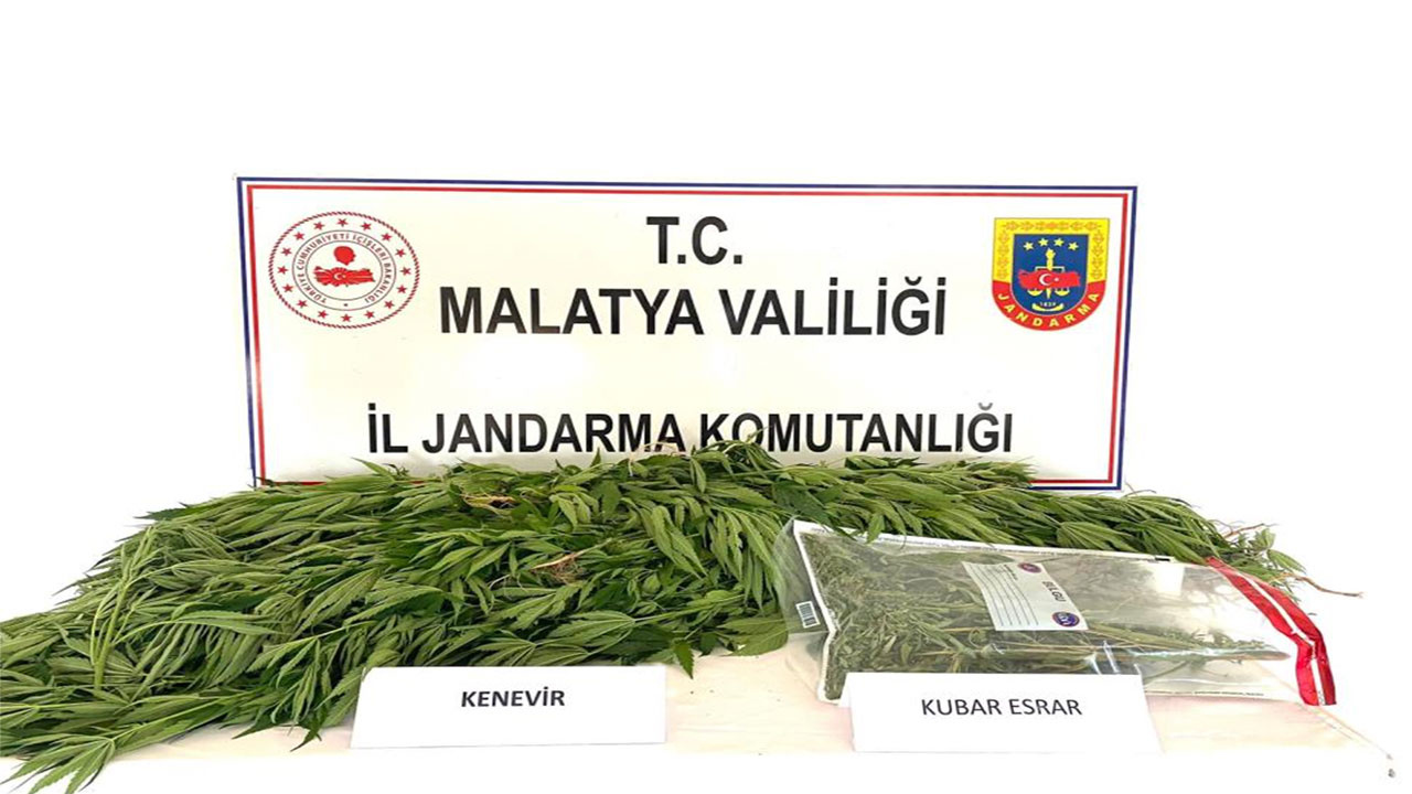Malatya'da uyuşturucu operasyonu! 308 gram esrar ile 146 kök kenevir ele geçirildi.
