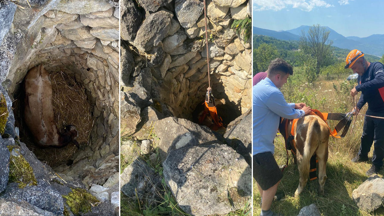 Karabük'te 4 gün kuyuda mahsur kalan büyükbaş hayvan kurtarıldı!