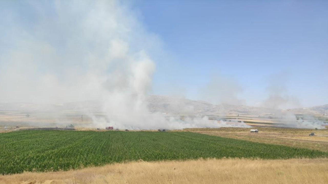 Burdur’da çıkan yangında 100 dönümlük tarım arazisi kül oldu!