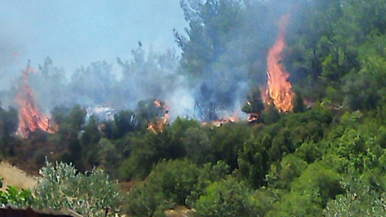 Muğla ve Hatay'da orman yangını! Alevler saatler sonra kontrol altına alındı