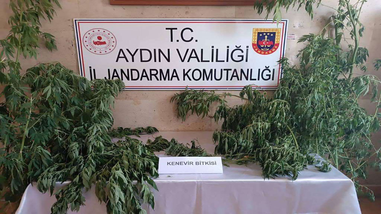 Aydın'da dev uyuşturucu operasyonu! 51 şüpheli yakalandı
