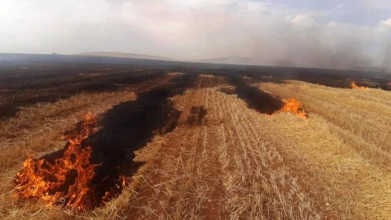 Kütahya'da çıkan yangında 500 dekar ekili alan zarar gördü!