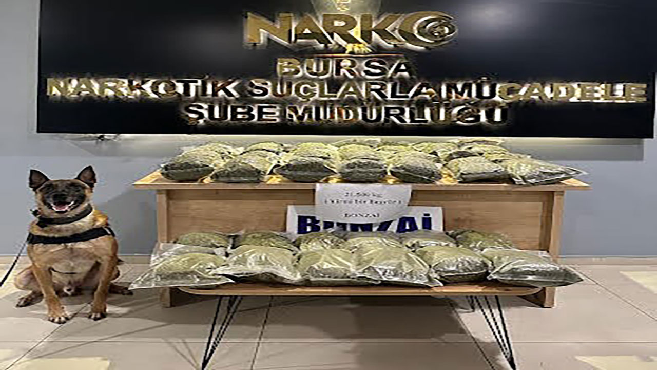 Bursa'da dev uyuşturucu operasyonu! Çok sayıda uyuşturucu ve 118 şüpheli yakalandı