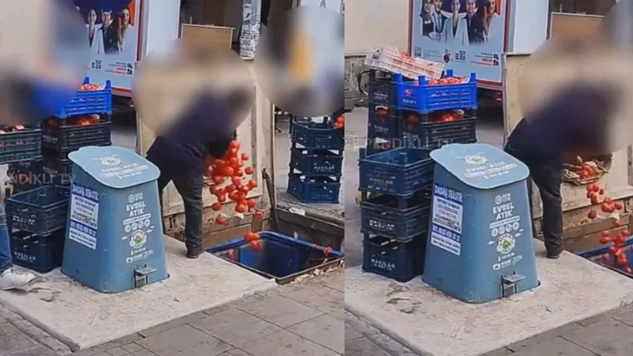 Skandal görüntüler: Kasa kasa domates çöpe döküldü! Bakanlık o markete acımadı