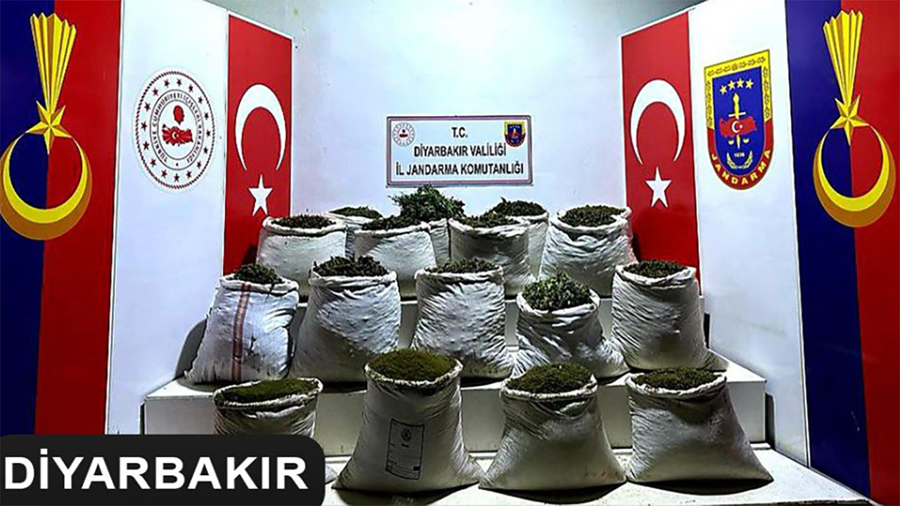 Diyarbakır'da narko-terör operasyonu! 2 milyon 425 bin kök kenevir ve skunk bitkisi ele geçirildi