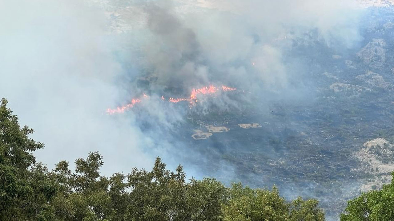 Diyarbakır'da çıkan orman yangını söndürüldü