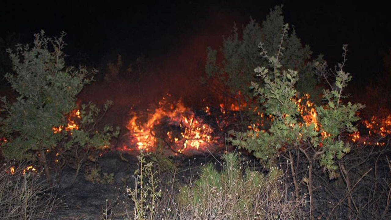 Trakya’da bu yaz 126 hektar ormanlık alan yandı!