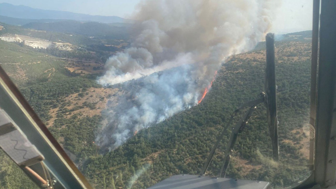 Balıkesir'de orman yangını! Saman yüklü araçta başladı ormanı tutuşturdu