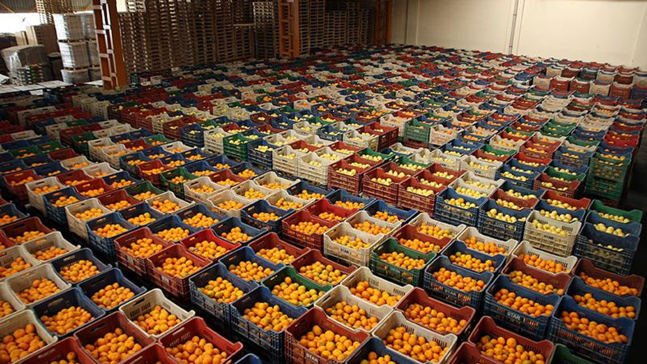 Türkiye'nin temmuz ayı yaş meyve sebze ihracatı 197,1 milyon dolar!