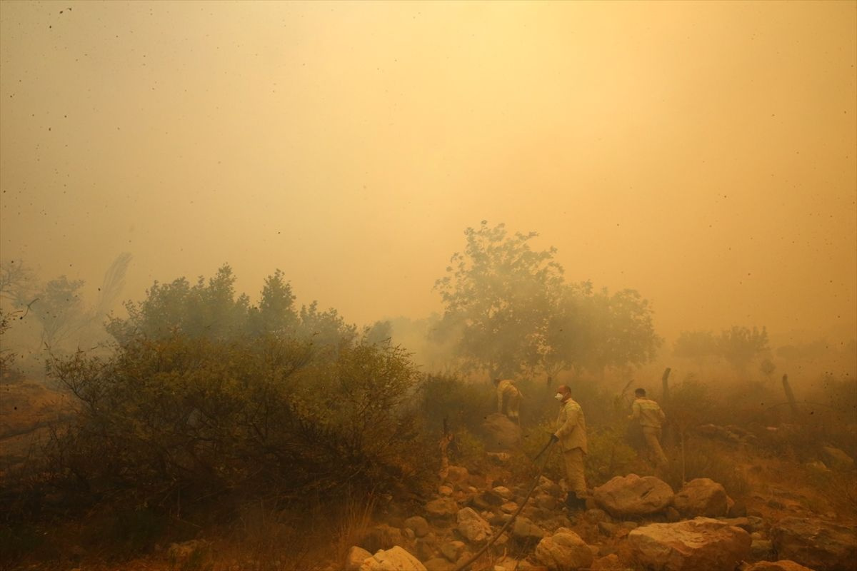 Çanakkale'de büyük orman yangını! 2 köy boşaltıldı, can kaybı var mı? Bölgeden dehşet verici fotoğraflar geldi