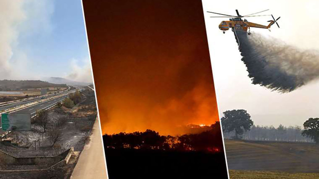 Korkunç! Yunanistan'da yanan ormanda 18 kişinin cesedi bulundu! Kaçak göçmenlermiş