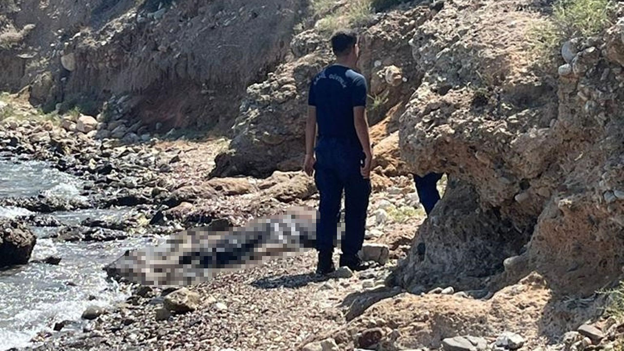 Datça'da sahilde vatandaşlar ceset buldu!
