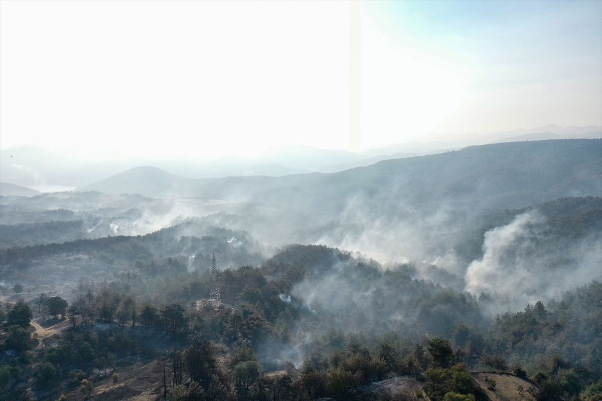 Çanakkale'de orman yangını! 10 köy ve üniversite kampüsü boşaltıldı! Evler yandı
