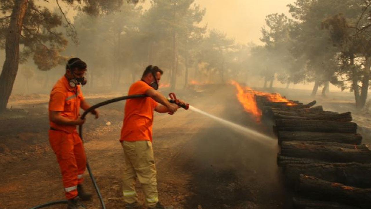 Bakan Yerlikaya: Çanakkale'deki orman yangınına müdahale aralıksız sürüyor