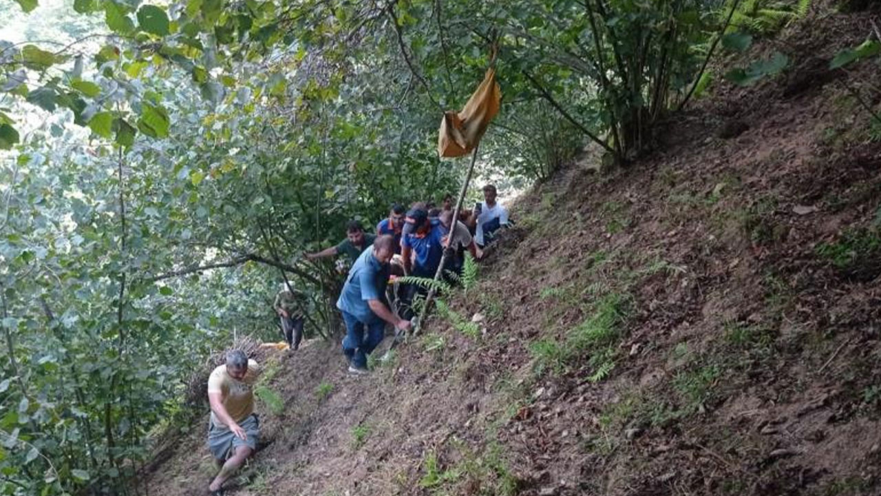 Giresun'da bir kadın fındık toplarken 30 metrelik yamaçtan yuvarlandı!