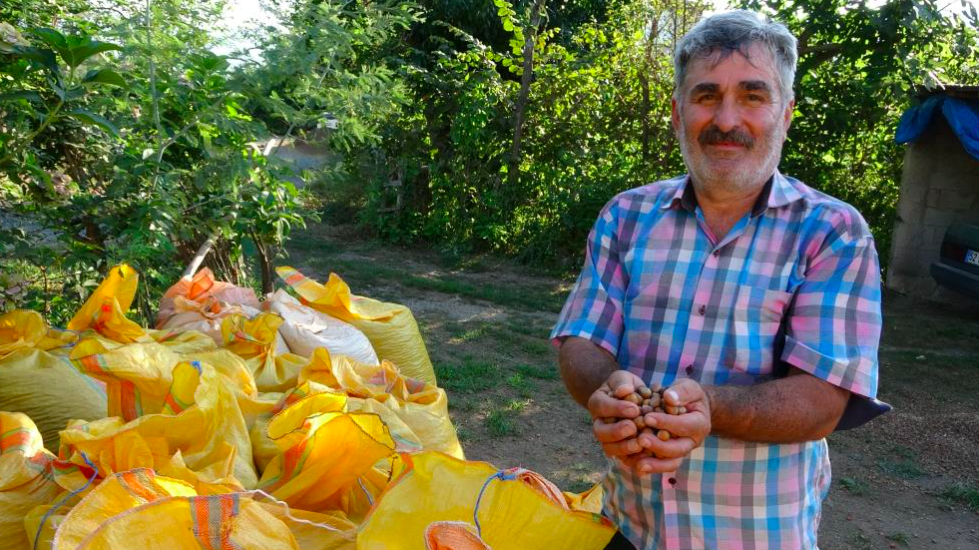 Yılda sadece 1,5 ay çalışıyorlar! Saatlik ücretleri 2 bin lira