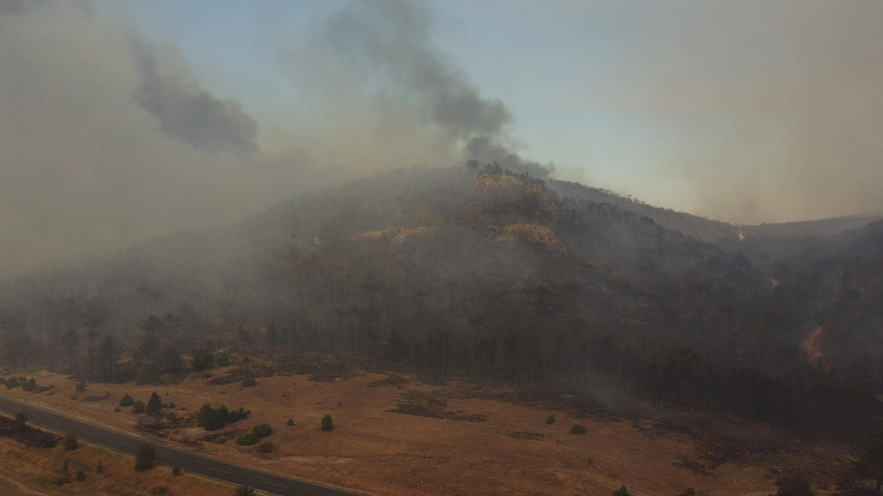 Eskişehir'deki orman yangınında son durum! Bakan Yumaklı: Yangın kontrol altına alındı