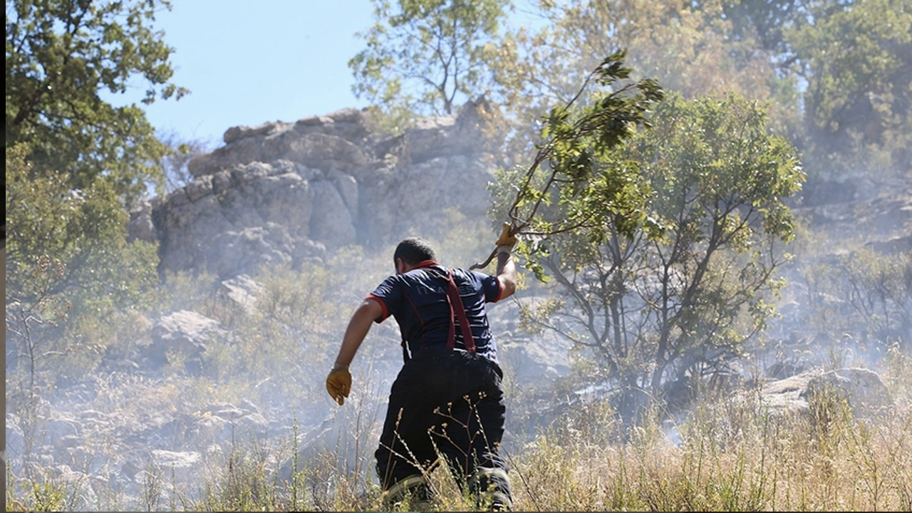 Diyarbakır'da orman yangını kontrol altına alındı: Soğutma çalışmaları sürüyor