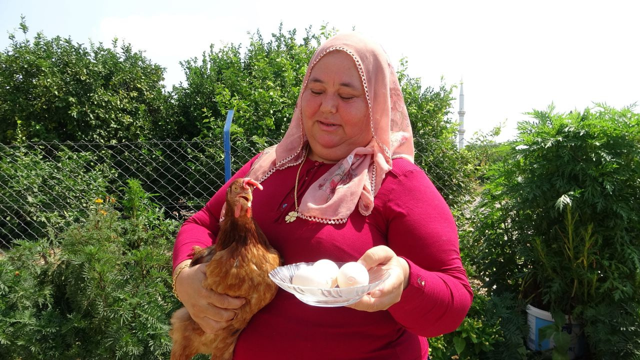 Yumurta üzerinde inanılmaz görüntü! Böylesi ne görüldü ne duyuldu: Yaşadıklarıma inanamıyorum