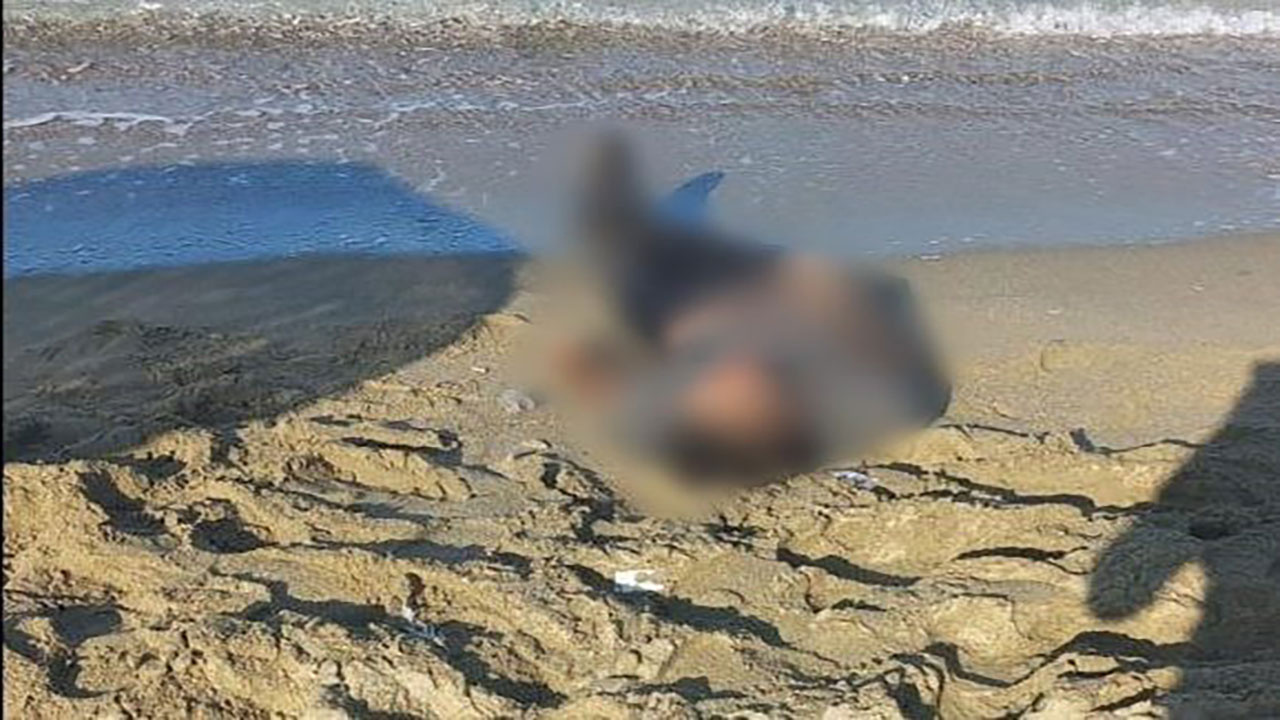 Aydın'da halk plajı çalışanları sahilde erkek cesedi buldu!