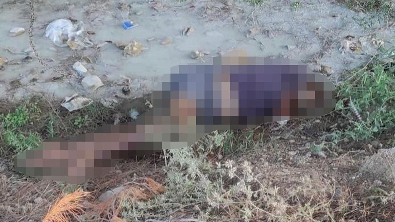 Adana'da dere kenarında kadın cesedi bulundu!