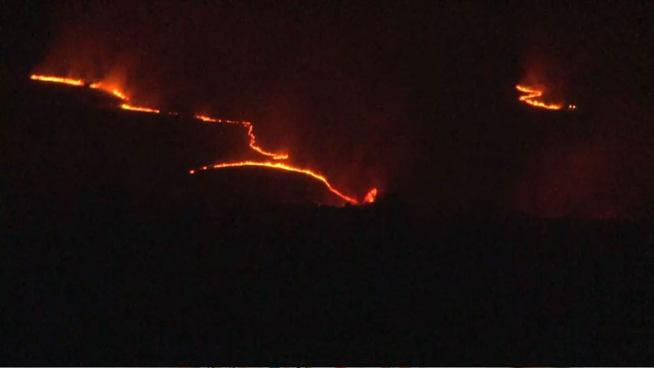 Bulgaristan'daki orman yangını Türkiye'ye ilerliyor!