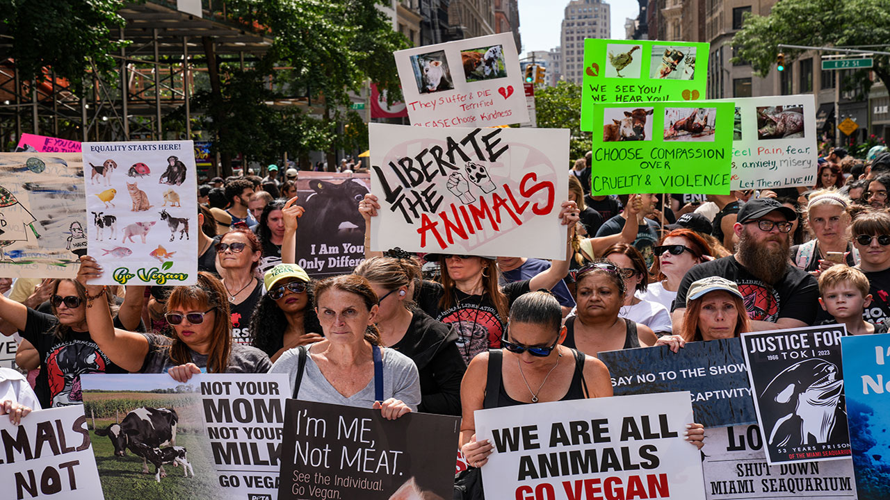 New York'ta vegan gruplardan protesto! Dünyaca ünlü markaları protesto ettiler