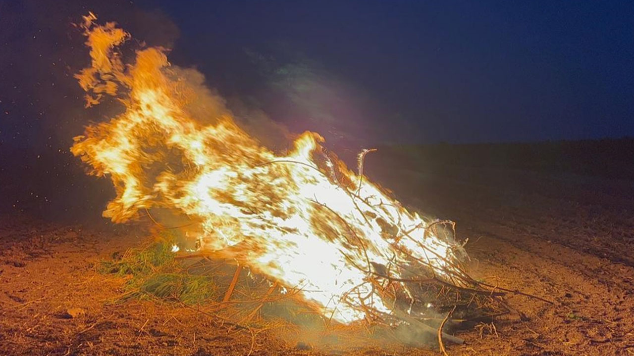 Şanlıurfa'da mısır tarlasından uyuşturucu çıktı, hepsi yakılarak imha edildi!