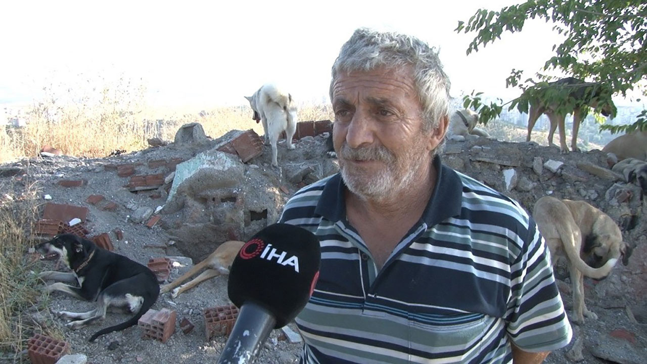 Ankara'da sokak köpekleri için dehşeti yaşattı! Komşusuyla tartışıp kafasından vurdu