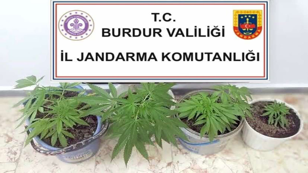 Burdur'da jandarma ekiplerinden uyuşturucu operasyonu! 7 kişi gözaltına alındı