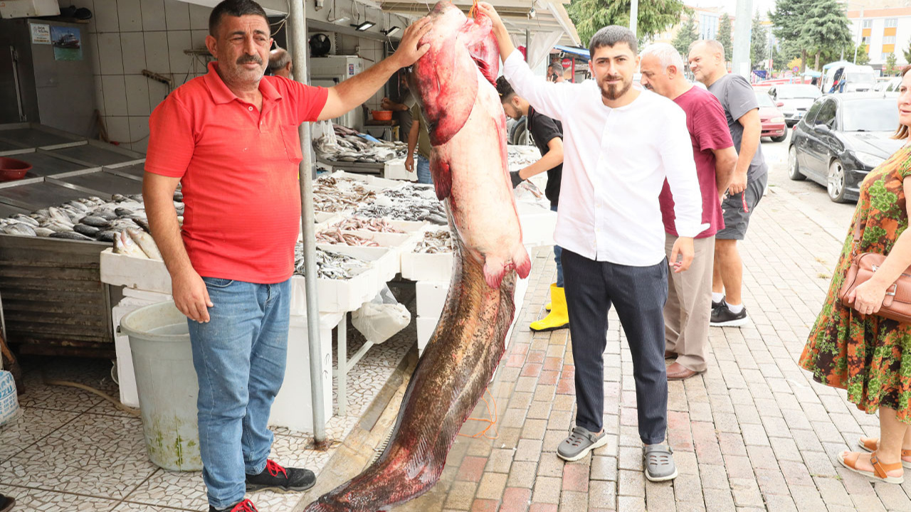Samsun'da baraj gölünde 94 kilogramlık yayın balığı yakalandı!