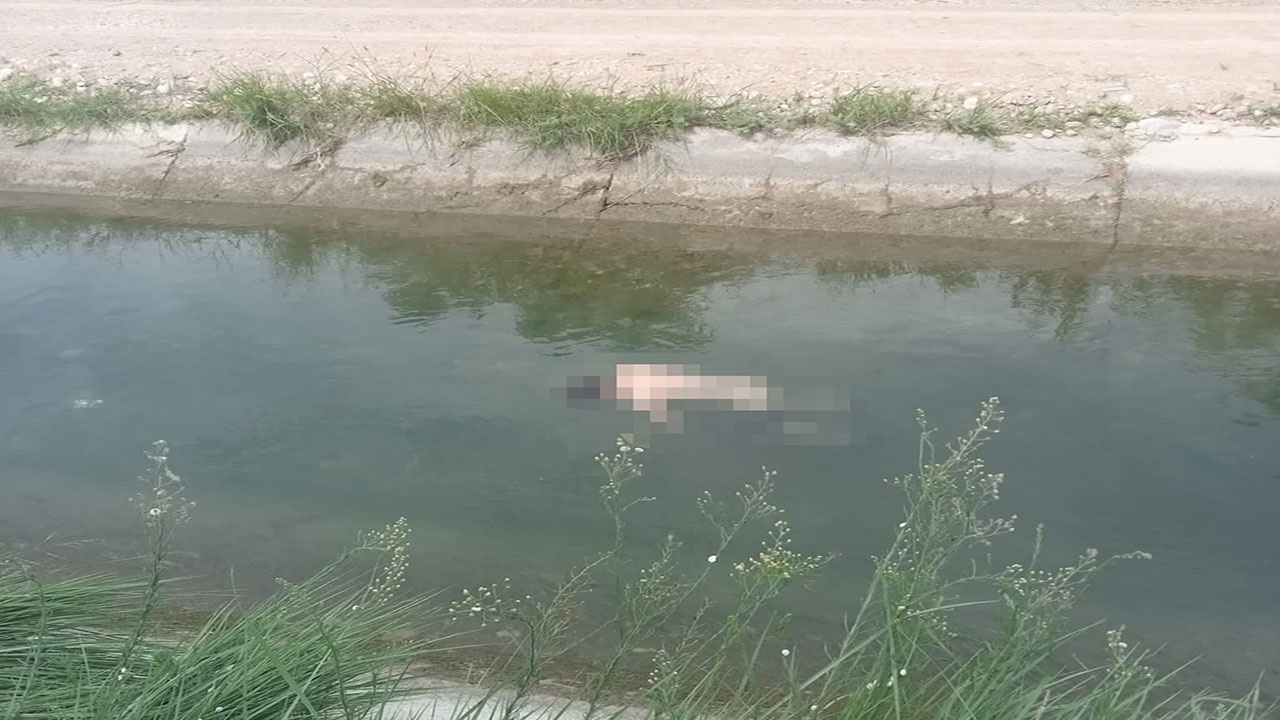 Adana'da sulama kanalında yüzen kişi can verdi! Cesedi kilometrelerce uzaklıkta bulundu