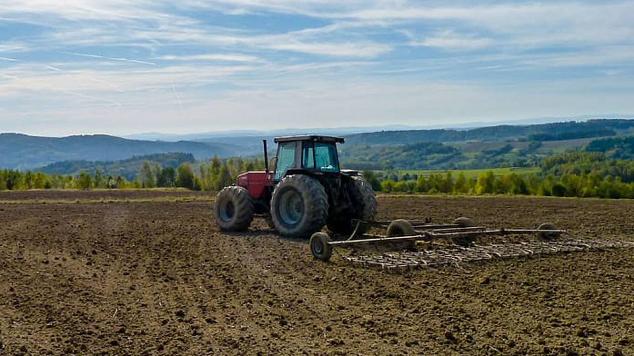 Polonya'da Ukrayna tahılı korkusu: Daha mısırları bile toplayamadık