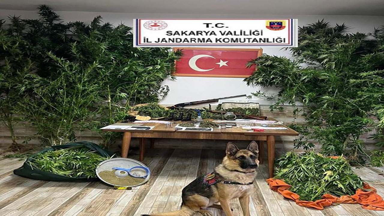 Sakarya'da uyuşturucu operasyonu!  6 kişi gözaltına alındı