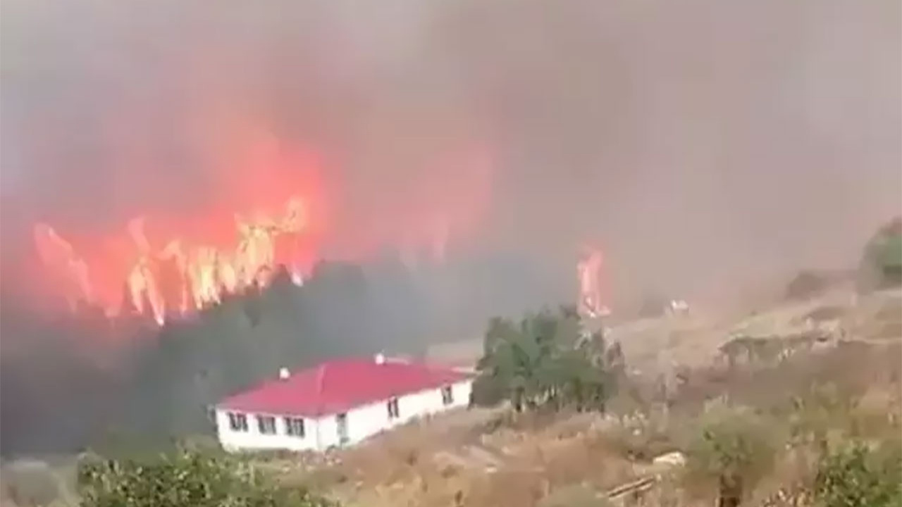 Dört şehirde birden orman yangını çıktı! Bolu, Ankara, İzmir ve Adana'daki yangınlar büyüyor