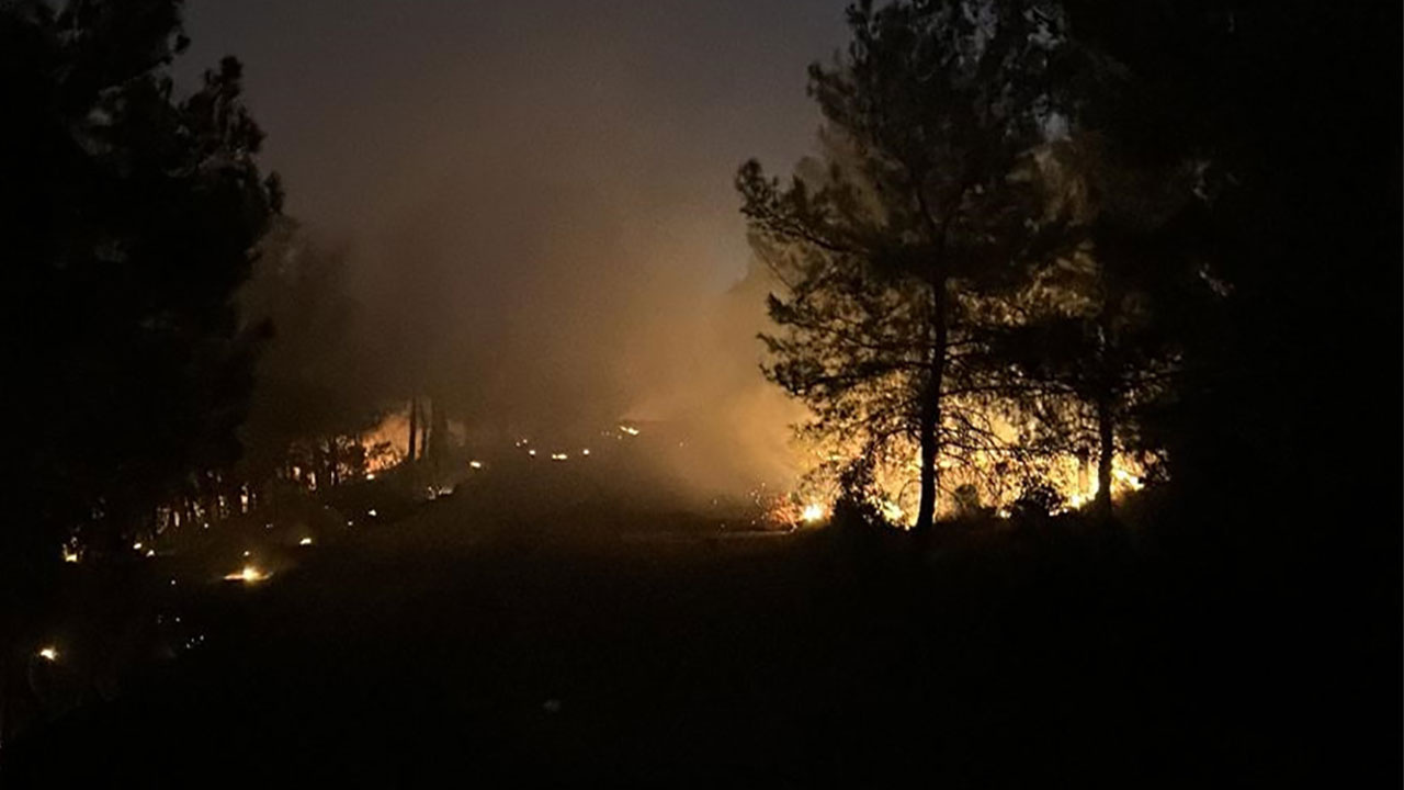 İzmir'de orman yangını çıktı! Helikopter ve uçaklar havadan ekipler yerden müdahale ediyor