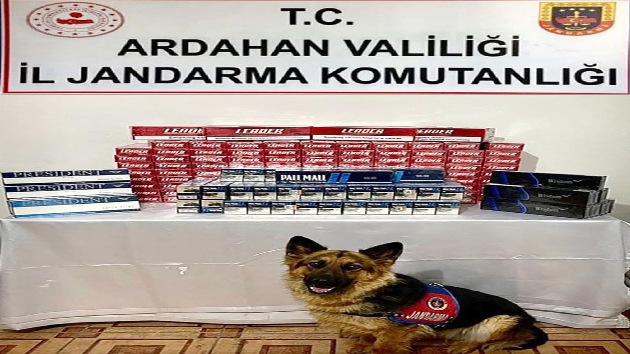 Ardahan'da Jandarma'dan kaçak sigara operasyonu!