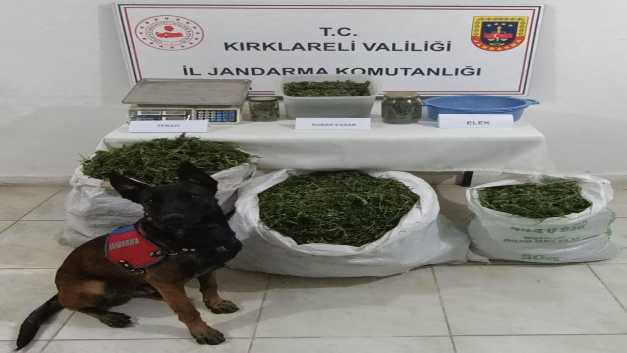 Kırklareli'nde Jandarma'dan uyuşturucu operasyonu!
