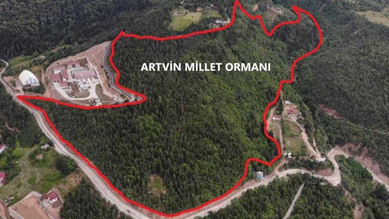 Artvin’de 10 Hektarlık alanda Millet Ormanı oluşturulacak