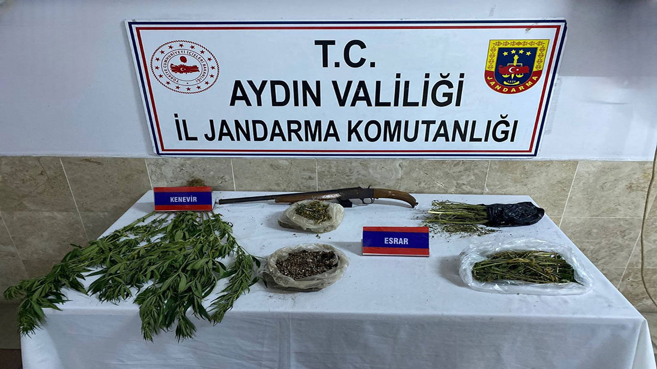 Aydın'da Jandarmadan uyuşturucu operasyonu!