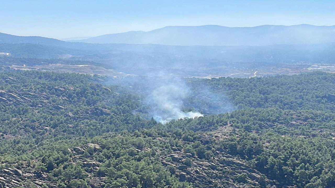 Muğla Milas'ta orman yangını çıktı