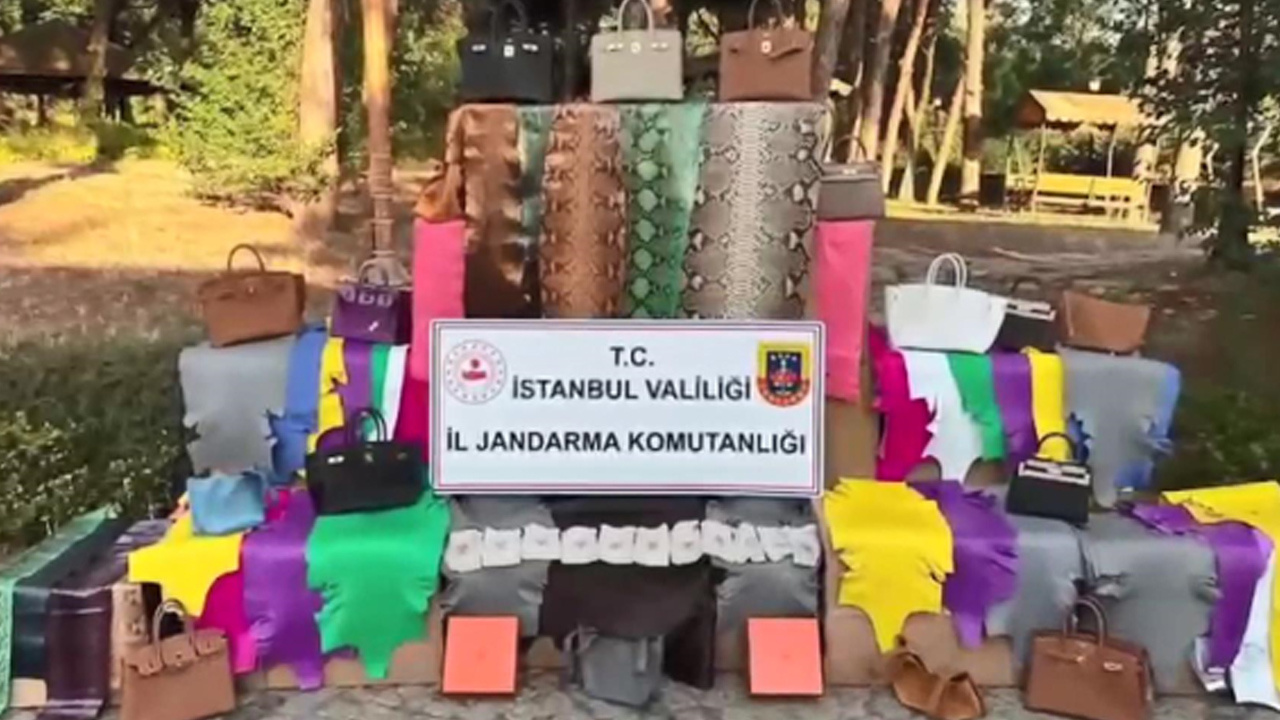 Jandarmadan kaçak imalathaneye baskın: Timsah, deve kuşu, yılan derileri ele geçirildi