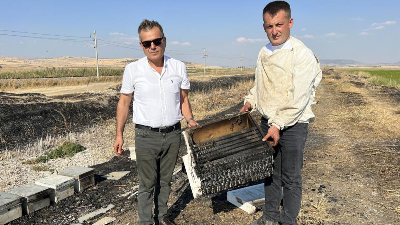 Kahramanmaraş'ta 150 arı kovanı yandı, arılar telef oldu!