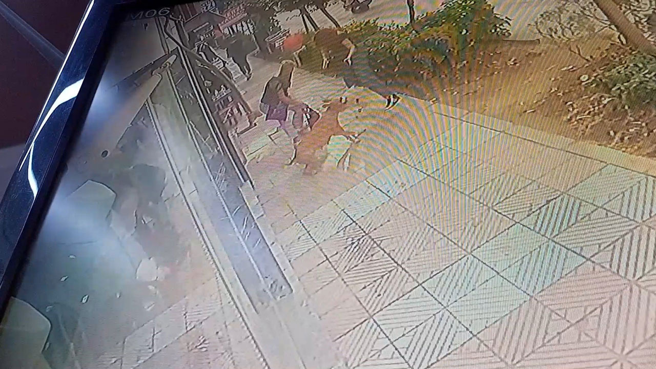 Manisa'da başıboş pitbull dehşet saçtı! Anne ve kızına saldırdı