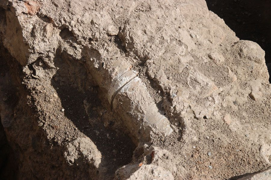 Diyarbakır'daki kazılarda ortaya çıktı Prof. İrfan Yıldız 'büyük bir sürpriz oldu' dedi